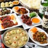 Chandani RodhiGhar チャーンダニレストラン 新大久保店